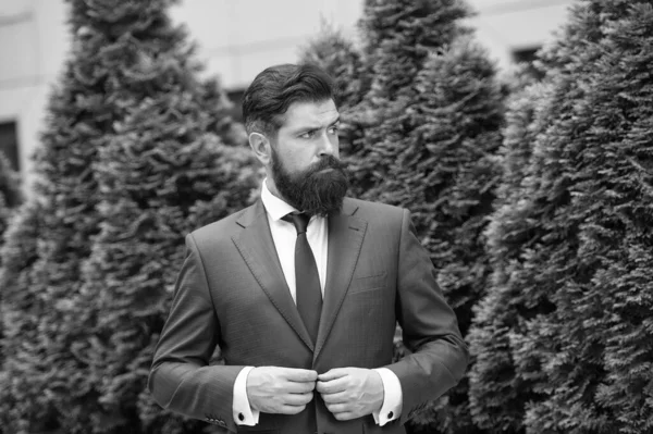 Successful and motivated. Business life. Man businessman classic style urban park. Business man bearded wear perfect fashionable suit. Businessman well groomed hairstyle beard. Business concept