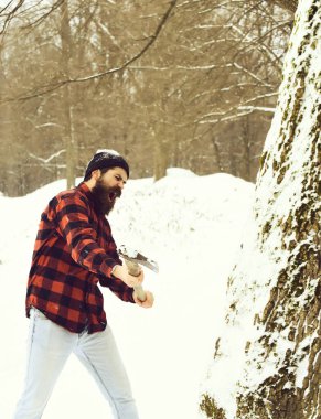 Yakışıklı vahşi oduncu ağacı kesti.