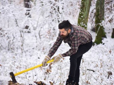 Sıcak eldivenli bir adam ormanda baltayı ağaca sapladı..