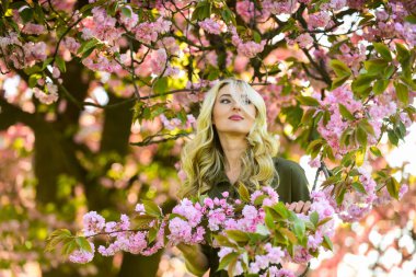 Dinlen ve tatil yap. Bahar çiçeği. Kiraz ağacı. Çiçek aroması. Çiçeklerin kadınları neden her zaman mutlu ettiğini. Parfüm ve kozmetik. Mutlu bahar günleri. Bahar sembolü Kız bahçede sakura 'nın tadını çıkarıyor.