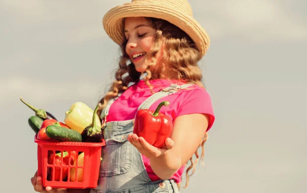 Organik yiyecekler. Çiftlikte güneşli bir gün. Sepetteki sebzeler. Kız sevimli çocuk çiftçiliği. Ekin hasadı. Hasat mevsimi. Doğal vitamin besin değeri. Çocuk arka planda hasat taşır. Ev yapımı sebzeler. — Stok fotoğraf