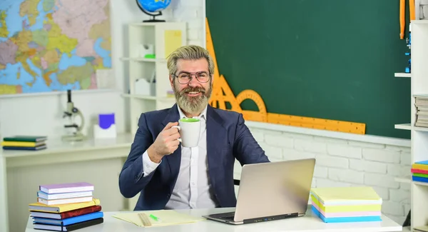 Use laptop and internet. Distance learning. Your application is valid. School project. Back to school. Knowledge day. Man work school teacher sit in classroom. Handsome hipster mature smart educator — Stock Photo, Image