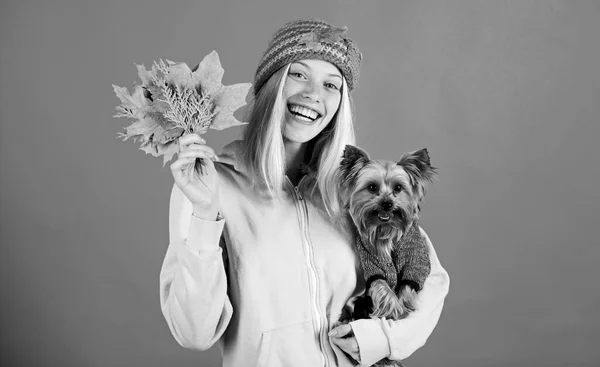 Veterinary medicine concept. Health care for dog pet. Pet health tips for autumn. regular flea treatment. Girl hug cute dog and hold fallen leaves. Woman carry yorkshire terrier. Take care pet autumn