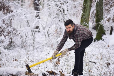 Sakallı, bıyıklı, keskin sarı baltalı maço..
