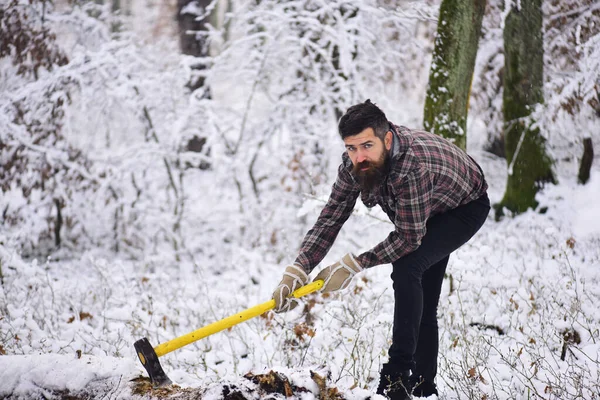Sakallı, bıyıklı, keskin sarı baltalı maço..