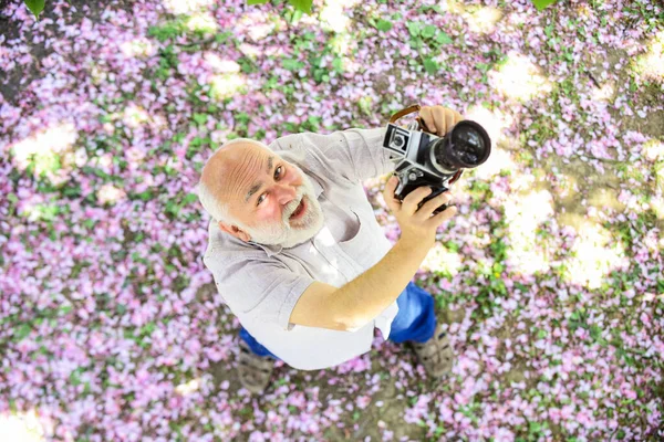 So happy. professional photographer designer. happy retirement. man tourist use camera take photo of cherry blossom. sakura in full bloom photography. senior bearded man photographing pink blossom — Stock Photo, Image