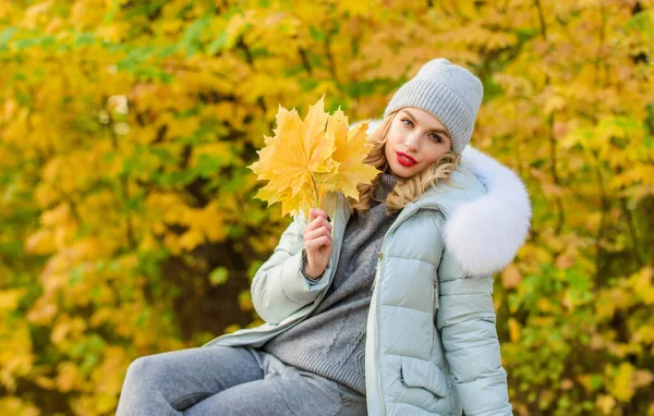 자연의 아름다움. 가을은 아름답습니다. 가을에 입을 따뜻 한 옷. 모자쓴 여자. 공원을 걷고 있습니다. 소녀는 낙엽 사이에서 휴식을 취한다. 아늑 한 스포츠 슈트. 불룩 한 자켓을 입은스 포티걸. 편안 한 옷을 입으라 — 스톡 사진