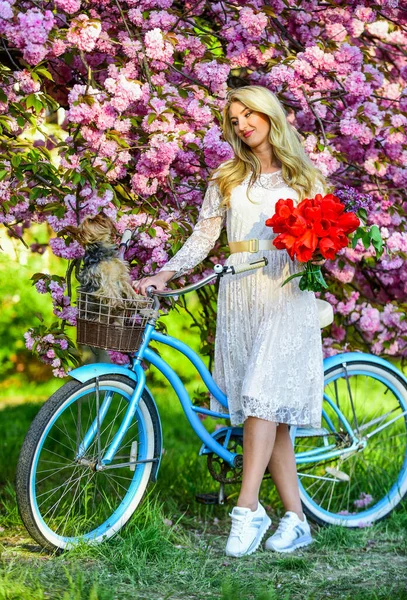 De muito bom humor. beleza feminina natural. Uma mulher no jardim. menina na moda jovem com bicicleta retro perto de flores de cereja. menina com bicicleta vintage no beco sakura rosa. árvore florescendo em tempo de primavera — Fotografia de Stock