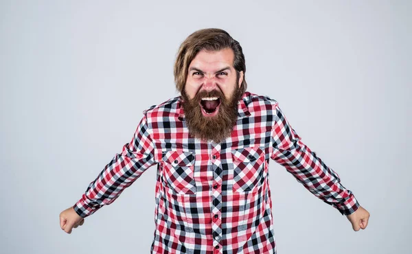 Reifer Hipster mit Bart. brutaler Kaukasier mit Schnurrbart. Der bärtige Mann trägt ein kariertes Hemd. wütender brutaler Mann schreit. männliche Friseurpflege. Haar- und Bartpflege — Stockfoto