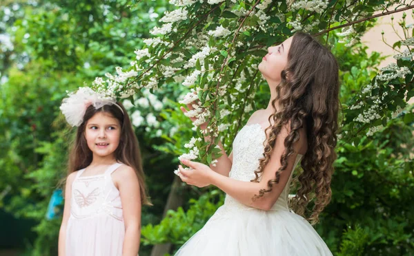 Hermanitas adorables vestidos blancos fiesta de boda en el parque, concepto de belleza natural —  Fotos de Stock