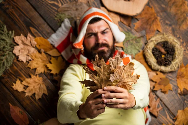 Thoughtful handsome. Staying cheerful any season. autumn male fashion. Carefree and happy. man hold maple leaf. canada. hipster relax on autumn background. handsome in autumn style. human in nature
