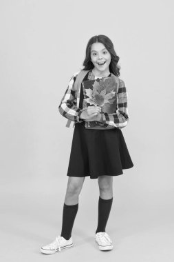 Sonbahar döneminin başında. Çalışmak için sonbahar zamanı. Okul eğitimi konsepti. Sonbahar sezonunun tadını çıkaran kız. Çalışmaya devam et. Okul çantalı ve sonbahar yapraklı küçük kız.