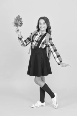 İyi okullar. Okula giden tatlı liseli kız. Küçük liseli kız kavramı. Ufaklık. Stili öğrenmek için gereken her şeyle ilgili okul anlaşmalarına geri dönmek harika. Sırt çantalı ve yapraklı liseli kız.