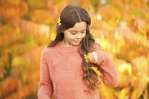 Primeiros sinais do Outono. Pequena criança usar folhas de outono no cabelo. Beleza de outono. Dê ao seu cabelo uma reinicialização sazonal. Outono dourado. Cores da queda — Fotografia de Stock