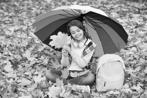 Dítě sedí na spadlém listí. Příslušenství pro případ, že bude pršet. Malé dítě se těší podzimu pod barevným deštníkem příslušenství. Dívka s módním doplňkem pro podzimní sezónu. Příslušenství, které ji udrží v suchu — Stock fotografie