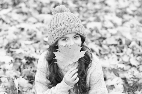 Aparência natural. Feliz criança segure a folha de bordo. Olhar outonal de modelo pequeno. Criança pequena com olhar de beleza. Outono olhar e moda. Adorável e bonito — Fotografia de Stock