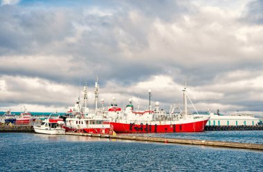Reykjavik, İzlanda - 13 Ekim 2017: Gemili liman. Gemiyle seyahat et. Deniz limanı terminali. Körfeze açılan kapın olmaktan gurur duyuyorum. Seyahat için herşey