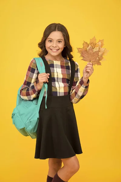 O outono é hora da escola. Estudante feliz no fundo amarelo. Criança sorri com folhas de outono e bolsa escolar. Criança pequena de volta à escola no outono. Nenhuma seriedade apenas felicidade escolar — Fotografia de Stock