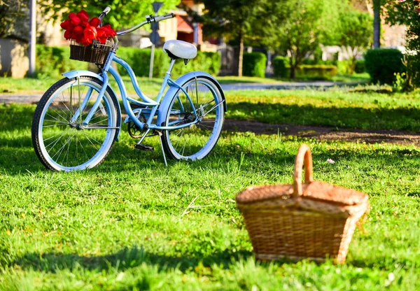 Vintage rower w parku. ogród z zieloną trawą. selektywne skupienie. relaks i podróże. koszyk na piknik. romantyczna randka na świeżym powietrzu. sezon miłości. Piękno wiosny. Rower retro z kwiatem tulipana w koszyku — Zdjęcie stockowe