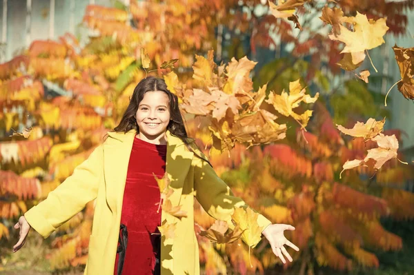 幸せな小さな子供の屋外。カエデの葉を持つ女の子。公園を歩いてる。秋のコートを着た流行の女の子。天気予報だ。森の中の落ち葉。秋の自然。学校のシーズンファッション。毎日の勝者 — ストック写真