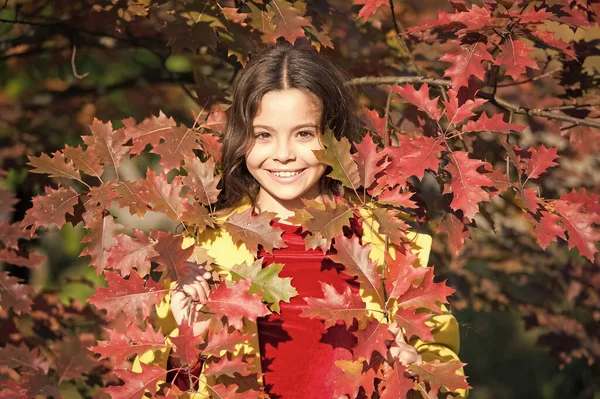 Dobrou náladu. Šťastné dítě. Můj dokonalý podzim. Spolu s přírodou. Malá procházka v podzimním parku. Podzimní sezóna volný čas. Atmosféra podzimu. Rozkošné usmívající se školačka podzim zeleň pozadí — Stock fotografie