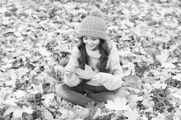 Leaf play. Malé dítě s podzimním listem sedí na zemi. Šťastné dítě na podzim krajiny. Malé dítě si hraje na čerstvém vzduchu. Dětská zkušenost v podzimní přírodě — Stock fotografie