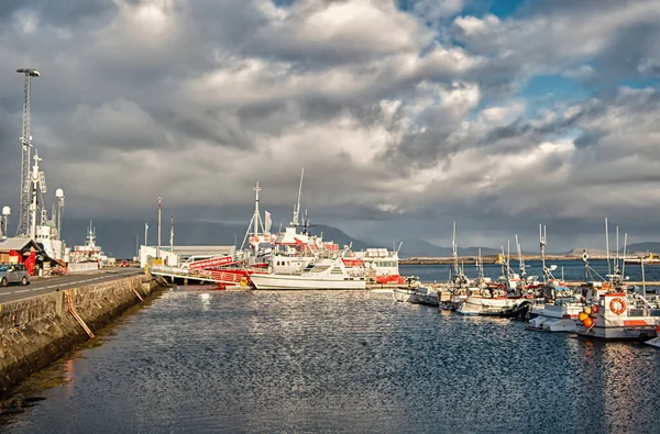 Reykjavik, İzlanda - 14 Ekim 2017: Deniz kıyısındaki gemiler. Gemi ya da tekne gezisi. Tatillerde macera arayanlara. Yolculuğun keyifli olması için her şey yapıldı. Macera orada. — Stok fotoğraf