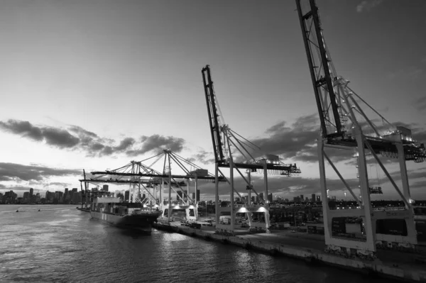 Miami, EE.UU. - 01 de marzo de 2016: transportista de carga y grúas en el cielo nocturno. Transportador de carga en el muelle. Ciudad skyline al atardecer. Envío y envío. Carga de carga —  Fotos de Stock