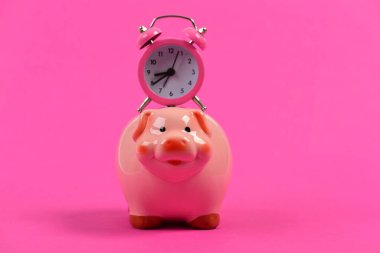 Finansal geliri olan bir kasa. Zaman para kavramıdır.