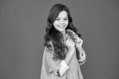 Güzellik ve zarafet. Kırmızı arka planda gülümseyen küçük bir güzellik. Kuaför konsepti. Soğuk mevsim için sıcak kazak. Çocuk modası. Mutlu çocukluk. Fotoğraf için çocuk pozu. Güzel kız uzun kıvırcık saçlı.