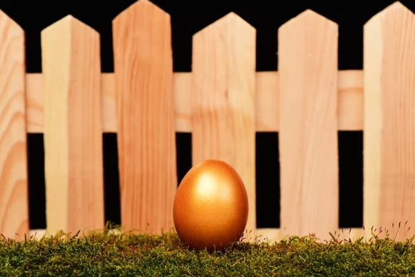 Яйца, окрашенные в золотой цвет на мху — стоковое фото