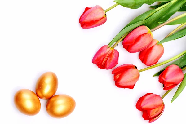 Happy holiday concept. Tulips in pink or red colors — Stock Photo, Image