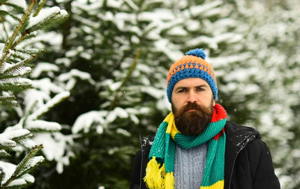 Tipo con abetos cubiertos de nieve en el fondo, desenfocado. —  Fotos de Stock