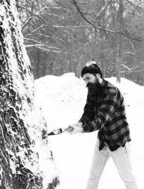 Yakışıklı bir oduncu doğal arka planda ağaç kesiyor.