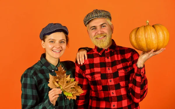 Harvest festival. Farmers market. Autumn mood. Couple in love checkered rustic outfit. Retro style. Fall season. Autumn leaves. Farmer family concept. Autumn harvesting works. Work at fields