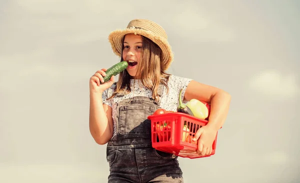 Lekker eten. kleine meid groente in mand. Heel natuurlijk. vitamine oogsten. lentetuin. gezond voedsel voor kinderen. kind op zomerboerderij. Biologisch voedsel. gelukkige kleine boer. herfstoogst — Stockfoto