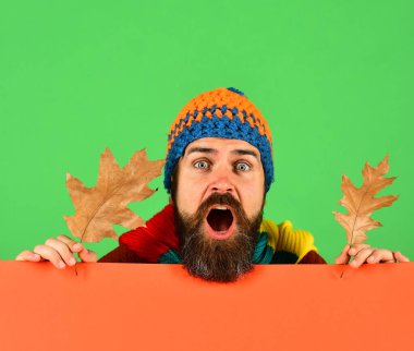 Yeşil ve turuncu arka planda meşe yaprağı tutan adam