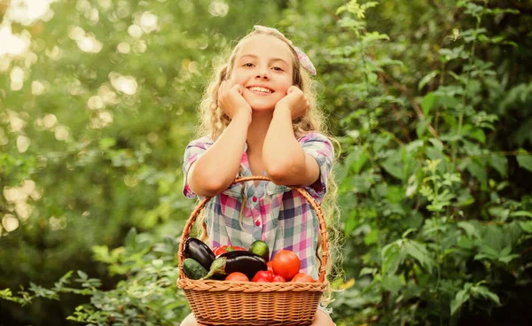 Een gezonde levensstijl. Kind houden mand met groenten natuur achtergrond. Eco landbouw. Eet gezond. Zomer oogst concept. GGO vrij. Gezond voedsel concept. Meisje schattig glimlachen kind leven gezond leven — Stockfoto