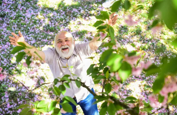 Vay canına. Mutlu gülümseyen son sınıf öğrencisi yukarı bakıyor. Yaşlı adam daha iyi anlamak için güzel şeyler hayal ediyor. Olgun bir adam umutla yukarı bakıyor. Baharın altındaki mutlu adam Sakura çiçeği. hayal kurmak — Stok fotoğraf