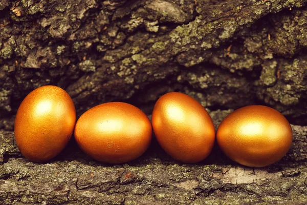 Кора дерева з традиційними великодніми золотими яйцями на дереві, антикварні — стокове фото