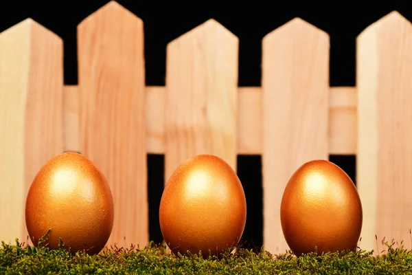 Eieren geschilderd in gouden kleur op mos — Stockfoto