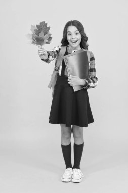 Doğa dersi. Mutlu küçük çocuk biyoloji dersi için sonbahar yapraklarını tutuyor. Ders kitapları ve sarı yapraklarla gülümseyen küçük bir kız. Ders çok eğlenceli olabilir. Okula geri dön.