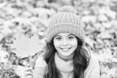 Güzel mevsim. Bu sonbaharda en sıcak tutun. Çocuk dışarıda. Tasasız ve rahat. Sonbahar cilt bakımı rutini. Çocuk kalın örülü şapka takıyor. Sıcak yün aksesuar. Sonbahar doğasını rahatlatan kız.