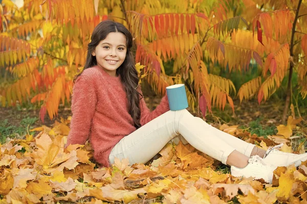 Bevanda calda. Assistenza sanitaria. Bambino godere di autunno bevanda calda. Bambino piccolo rilassarsi all'albero autunnale. Ragazza bambino felice con tazza in autunno parco colorato sfondo fogliame. Idee accoglienti per il picnic autunnale — Foto Stock