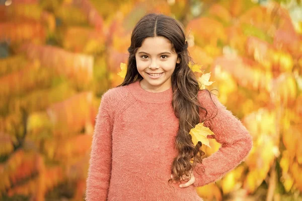 子供は屋外で秋を楽しむ。秋に会いましょう。小さな女の子が幸せなかわいい子供の豪華な長い髪のカエデの葉笑顔。いい秋の日だ。葉で遊ぶ。幸せな子供時代。秋祭りだ。シンプルな幸せ — ストック写真