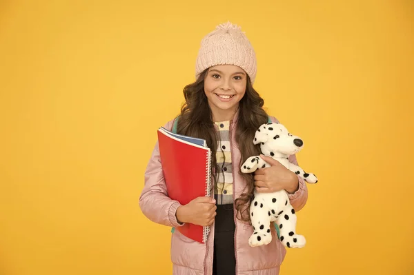 Péče a léčba zvířat. Studium veterinární medicíny. Happy child hold toy dog and books. Holčička se usmívá s měkkou hračkou. Školní třídy. Toy dog. Učte se a hrajte. Škola a vzdělávání — Stock fotografie