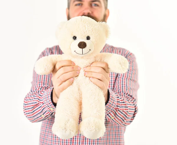 Presentes e feriados conceito. Urso de pelúcia ou brinquedo de pelúcia — Fotografia de Stock