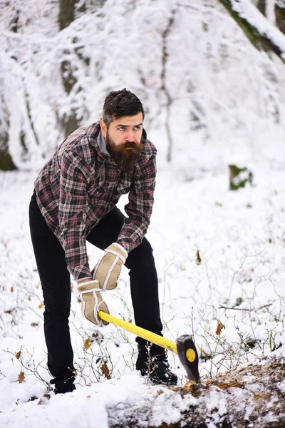 Sıcak eldivenli bir adam ormanda baltayı ağaca sapladı..
