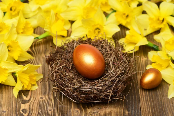 Geleneksel Paskalya altın yumurtası yuvada, bahar sarısı narsisli çiçek
