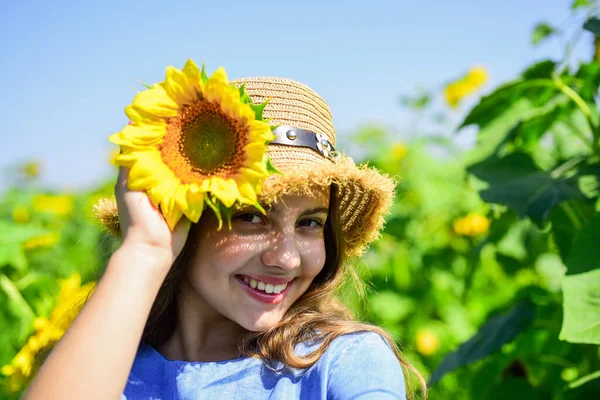 Kicsi szépség. Egy kislány a nyári napraforgómezőn. Boldog gyermeknapot! Gyerekkori boldogság. boldog gyerek portréja gyönyörű napraforgóval. vidám gyermek szalmakalapban sárga virágok között — Stock Fotó